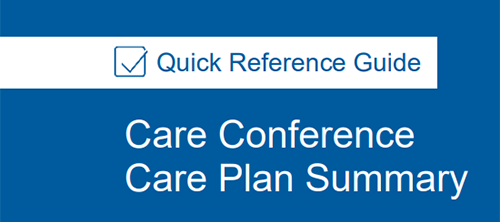 Care Conference Care Plan Summary